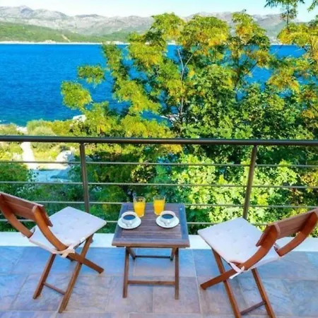 Holiday home Dani Private Pool Sea View *